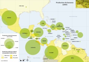 11-12-3_Agri-banane_FR